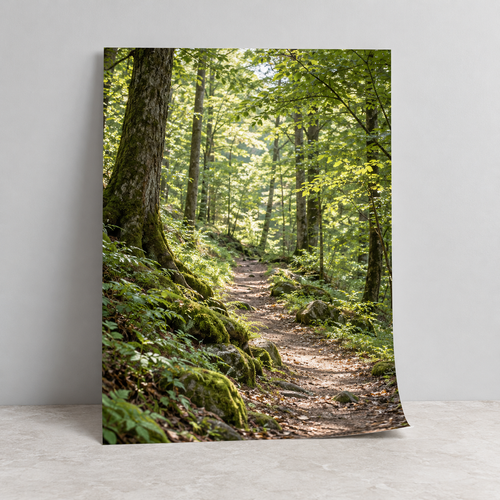Illustrative photographic poster print with a woodland landscape.
