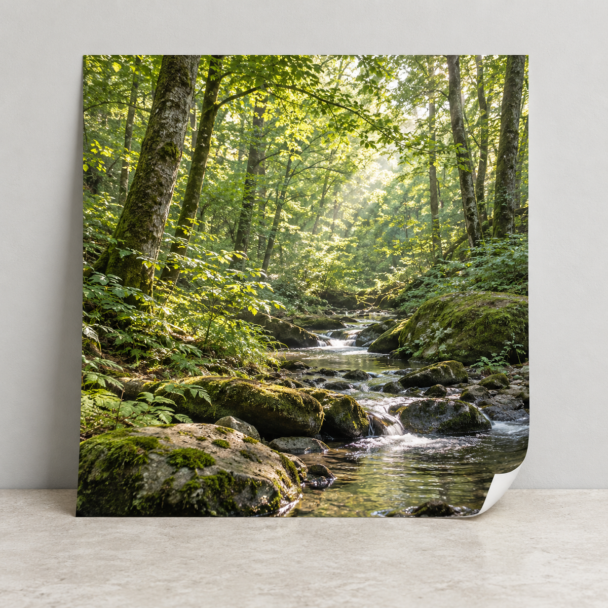 Illustrative square photographic poster printed on paper.
